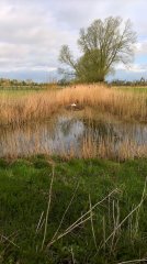 WP_20160416_08_23_42_Pro.jpg